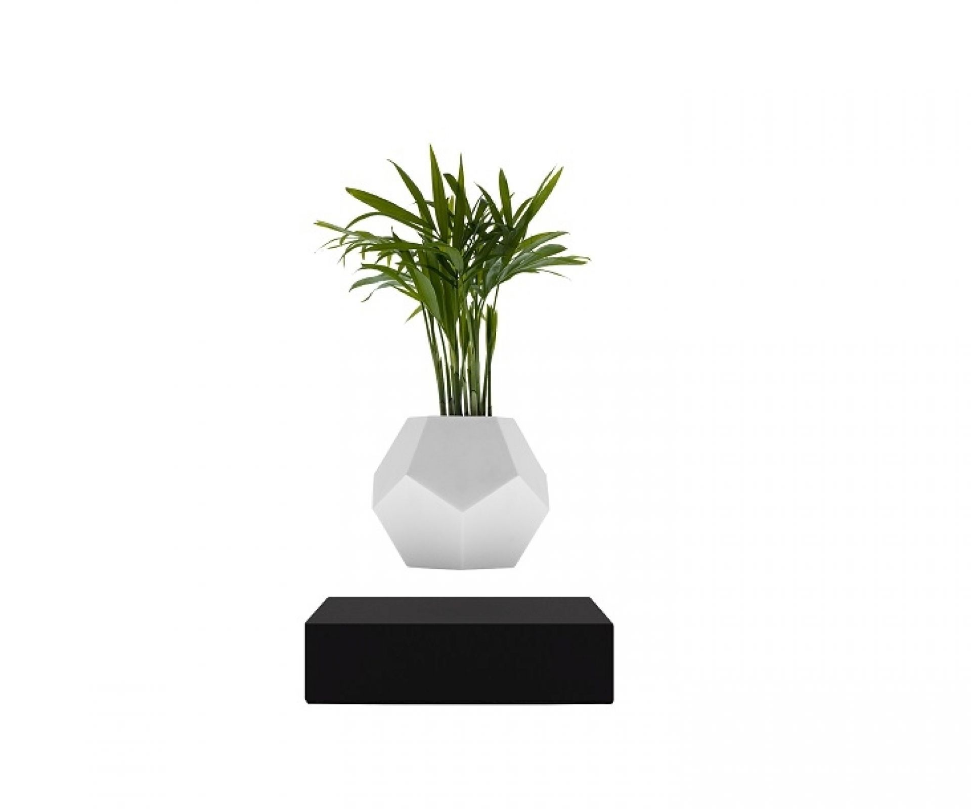 Lyfe Floating Vase FOOT AHRON BLACK / POT WHITE Klein & More SINGLE PIECES